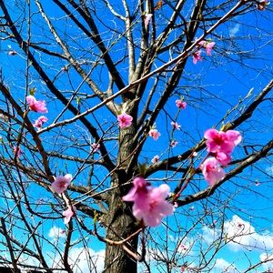 Meet your Posher, Rocio